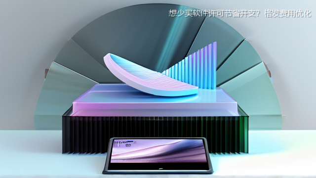 想少买软件许可节省开支？格发费用优化